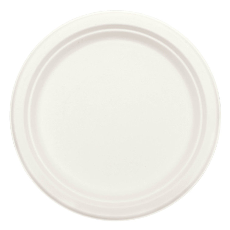 Amscan Basic Paper Disposable Dinner Plate Wayfair.ca